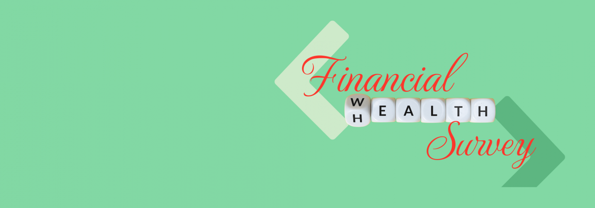 Financial Health Survey