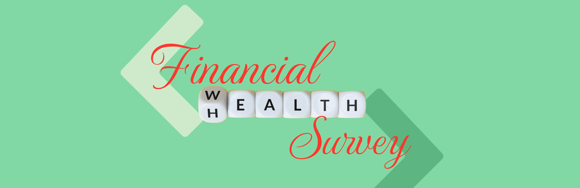 Financial Health Survey